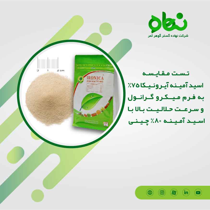 تست مقایسه اسید آمینه آیرونیکا 75 درصد به فرم میکروگرانول